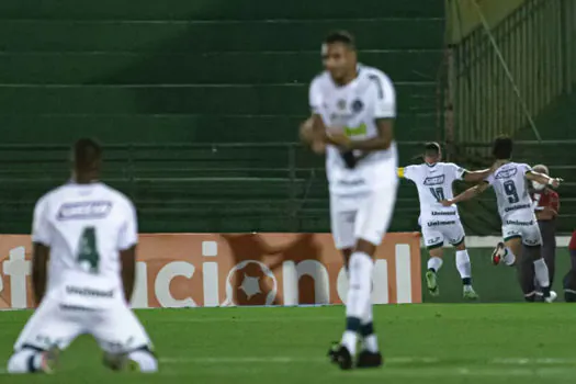 Série B: Goiás vence Guarani por 2 a 0 e está de volta à primeira divisão