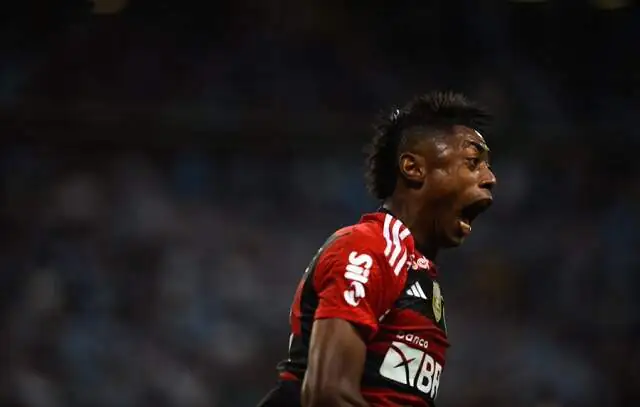 Flamengo derrota o Grêmio por 2 a 0