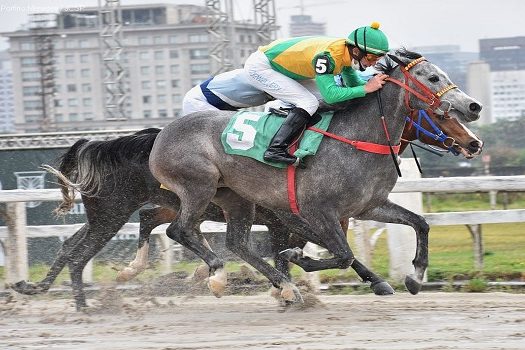 Jóquei recordista mundial garante vitória em corrida exclusiva para exemplares Árabes