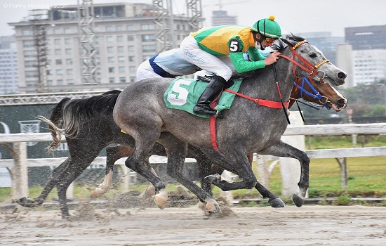 Jóquei recordista mundial garante vitória em corrida exclusiva para exemplares Árabes