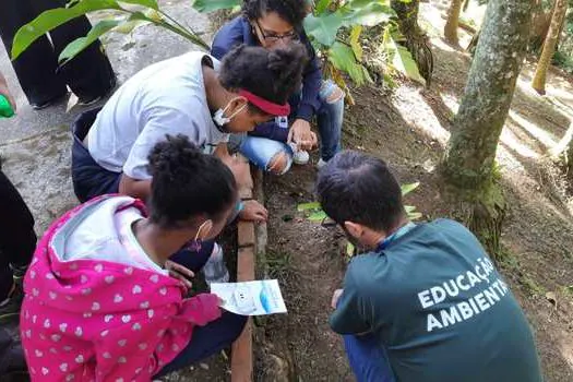 Ribeirão Pires divulga calendário para o Junho Verde, Mês do Meio Ambiente