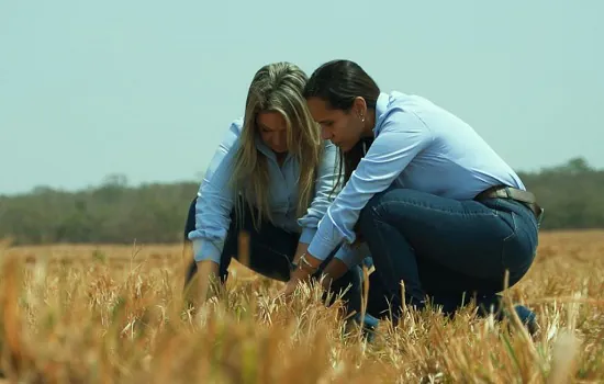 Movimento “Juntas pela Pastagem” difunde informação e conhecimento para a pecuária