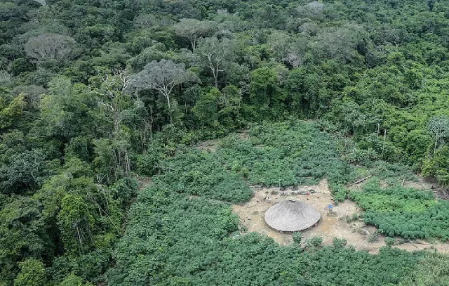 Justiça prorroga emprego da FNSP em apoio à Funai na Terra Indígena Pirititi (RR)