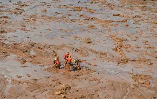 Trabalhos de buscas por vítimas em Brumadinho entram 16º dia