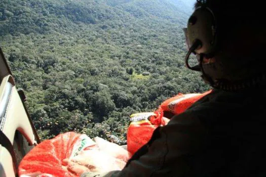 Fundação Florestal lança 10 toneladas de sementes juçara na região do Vale do Ribeira