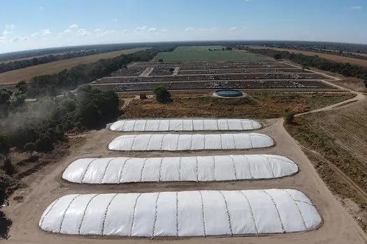 Já é hora de começar a planejar a alimentação do gado no inverno