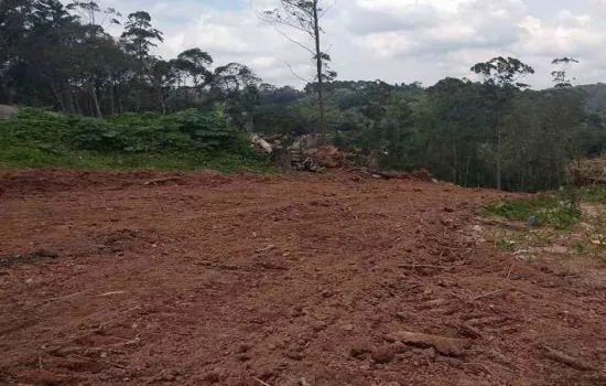 Prefeitura de SP autua loteamento clandestino em área de mananciais na Zona Sul