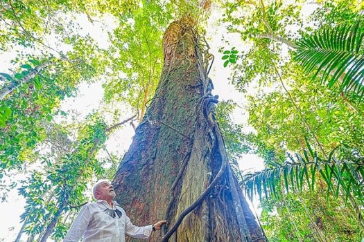 Lula quer formar recrutas para combate a desastre climático