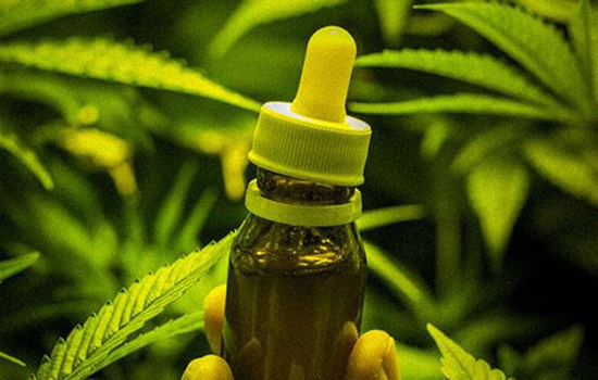 Anvisa aprova primeiro produto à base de maconha no País