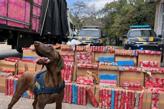 PRF apreende 2 toneladas de maconha escondida em carreta na Via Dutra