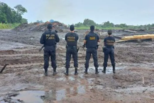 Polícia Federal e Ibama apreendem madeira ilegal no Pará