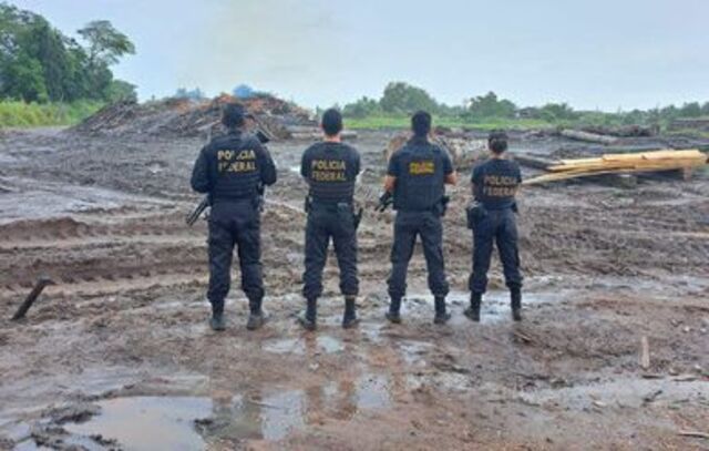 Polícia Federal e Ibama apreendem madeira ilegal no Pará