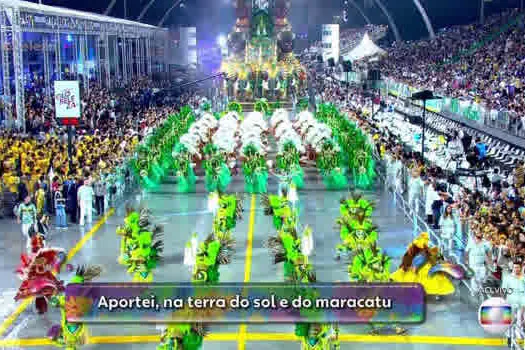 Mancha Verde é a Campeã do Carnaval 2019 de São Paulo