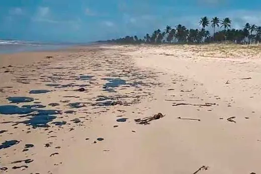 Instrução Normativa proíbe pesca de camarão e lagosta em áreas do vazamento