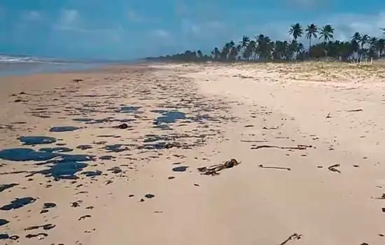 Instrução Normativa proíbe pesca de camarão e lagosta em áreas do vazamento