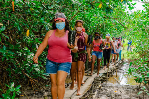 Projeto mobiliza ações sociais e educativas em manguezais da Amazônia