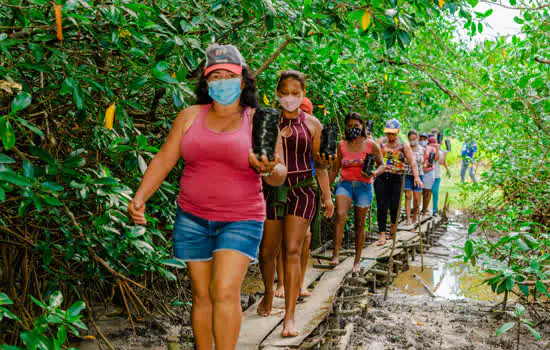 Projeto mobiliza ações sociais e educativas em manguezais da Amazônia