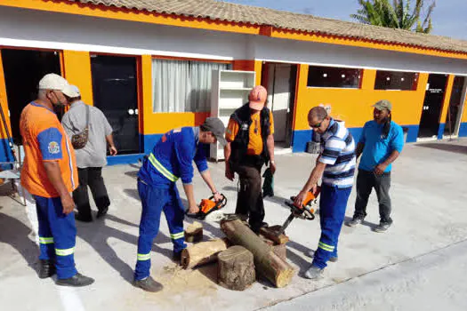 Defesa Civil de Ribeirão Pires treina equipe de manutenção em árvores