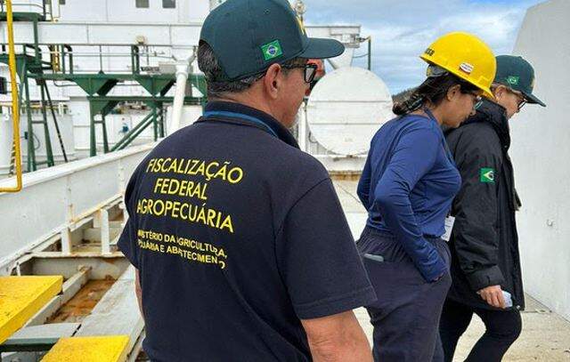 Equipe técnica do Mapa acompanha embarque de 21 mil animais para a Turquia