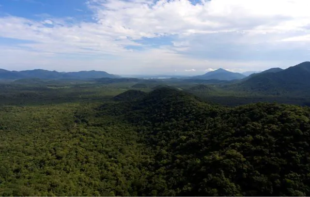 Mapeamento permite rastrear remanescentes de Mata Atlântica em todo país