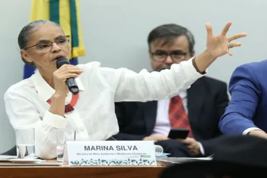 Silveira defende ‘governo único’; ‘Ibama é que vai julgar’, diz Marina