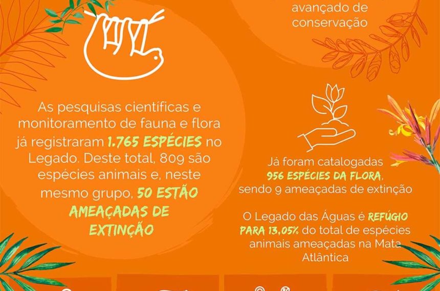 Mata Atlântica é o bioma com mais espécies de fauna e flora ameaçados de  extinção – Legado das Águas