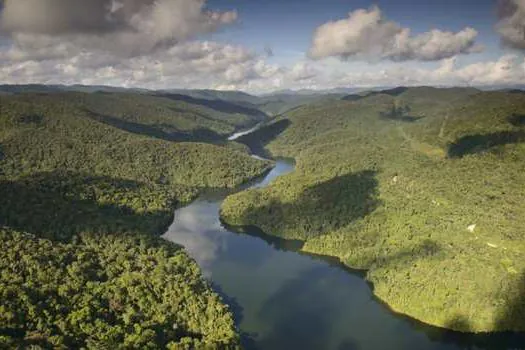 Maior reserva privada de Mata Atlântica do país completa 10 anos