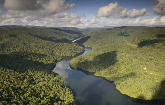 Maior reserva privada de Mata Atlântica do país completa 10 anos