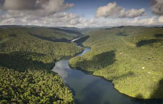 Maior reserva privada de Mata Atlântica do país completa 10 anos