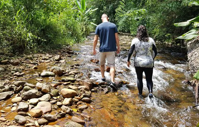 Programa Natureza Empreendedora recebe inscrições até quarta-feira