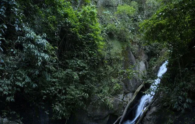 Mata Atlântica tem água de boa qualidade em 6