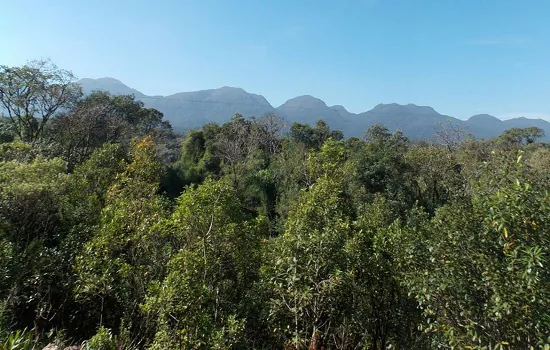 Jardim Botânico do RJ promove a Semana da Mata Atlântica