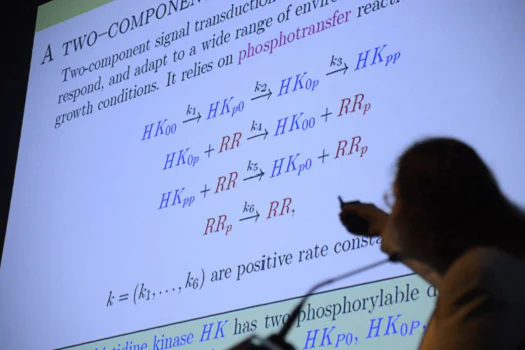 Encontro debate ensino atraente e criativo da matemática