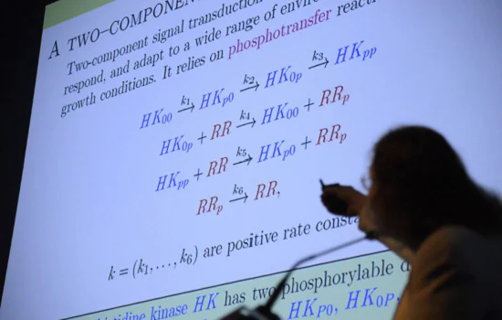 Encontro debate ensino atraente e criativo da matemática