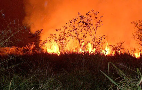 Ibama e PF fazem operação contra queimadas em Mato Grosso