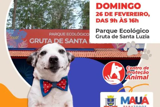 Mauá promove nova edição da Feira de Adoção animal neste domingo