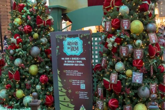 Árvore do Bem: neste Natal o Mauá Plaza apresenta uma iniciativa solidária