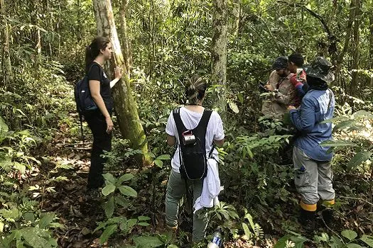 brCarbon monitora 435 espécies da fauna amazônica, incluindo ameaçadas de extinção