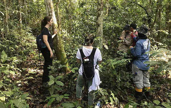 brCarbon monitora 435 espécies da fauna amazônica