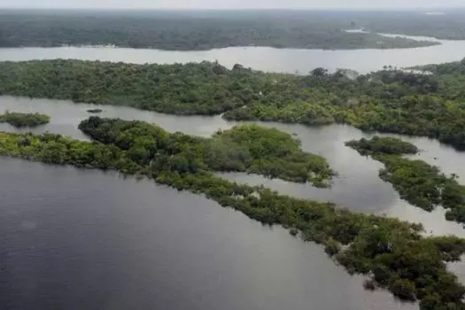 Tecnologia e meio ambiente: Prodesp celebra ações de sustentabilidade