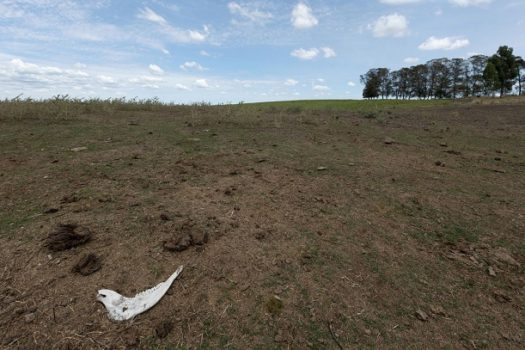 Governo lança plataforma para identificar vulnerabilidades climáticas