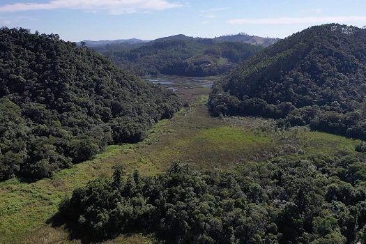 Área do Museu da Energia de Salesópolis integra criação de Refúgio de Vida Silvestre (RVS)