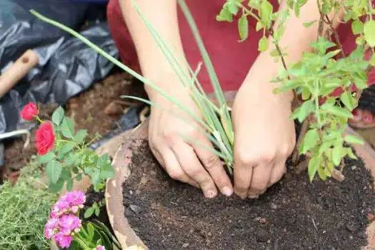 Colégio Adventista do Jardim Utinga promove Semana do Meio Ambiente