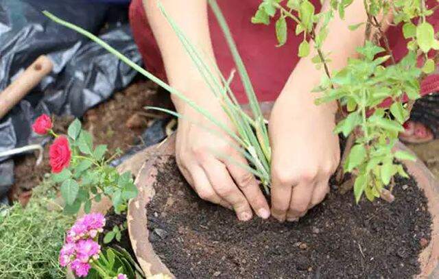 ViaMobilidade e Instituto CCR promovem ação socioambiental com crianças do ensino infantil