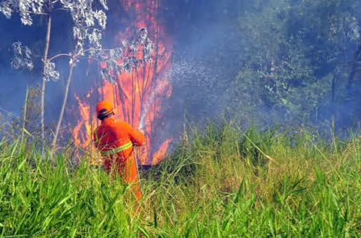 Governo investe mais de R$ 7 milhões para combater incêndios florestais