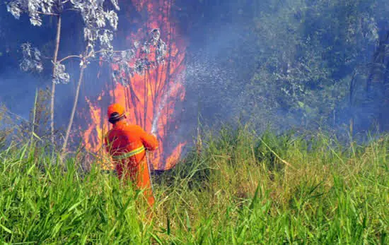 Governo investe mais de R$ 7 milhões para combater incêndios florestais