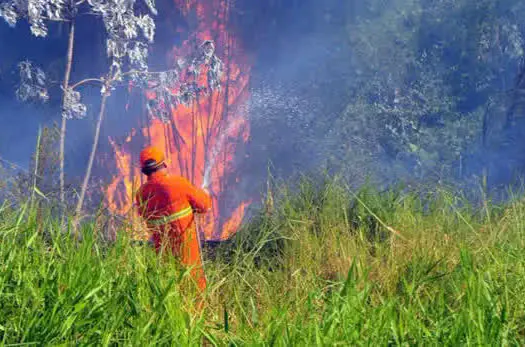 SP reforça campanha educativa contra incêndios florestais nas cancelas de pedágios