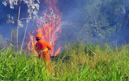 SP reforça campanha educativa contra incêndios florestais nas cancelas de pedágios