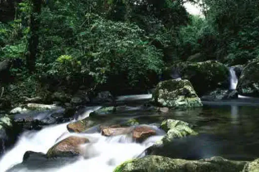 Seminário de Boas Práticas de Sustentabilidade começa hoje