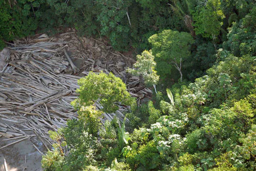 População defende proteção ambiental